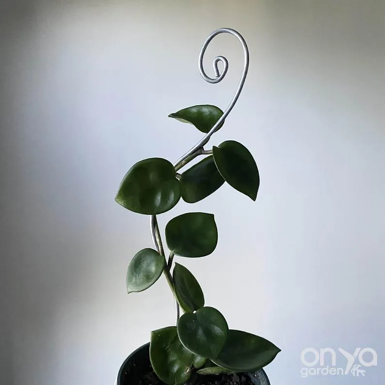 Steel Swirl Plant Stick, Decorative Stem Supporter