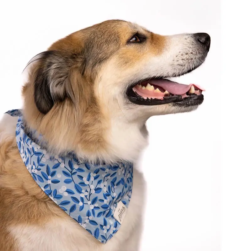 The Paws Bandana - Snow Berry