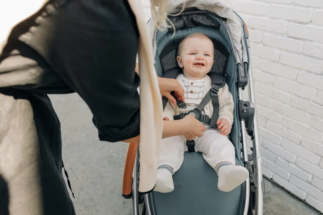 UPPAbaby Vista V3 Stroller