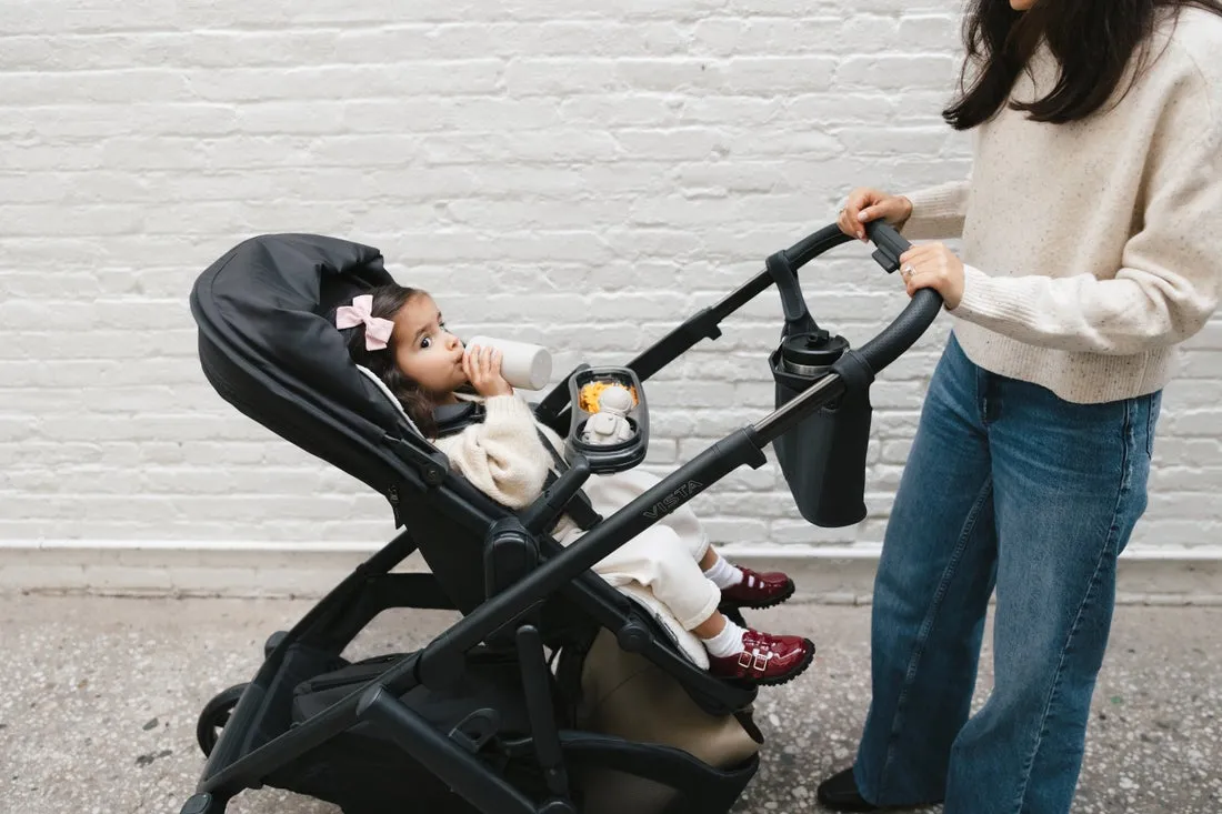 UPPAbaby Vista V3 Stroller