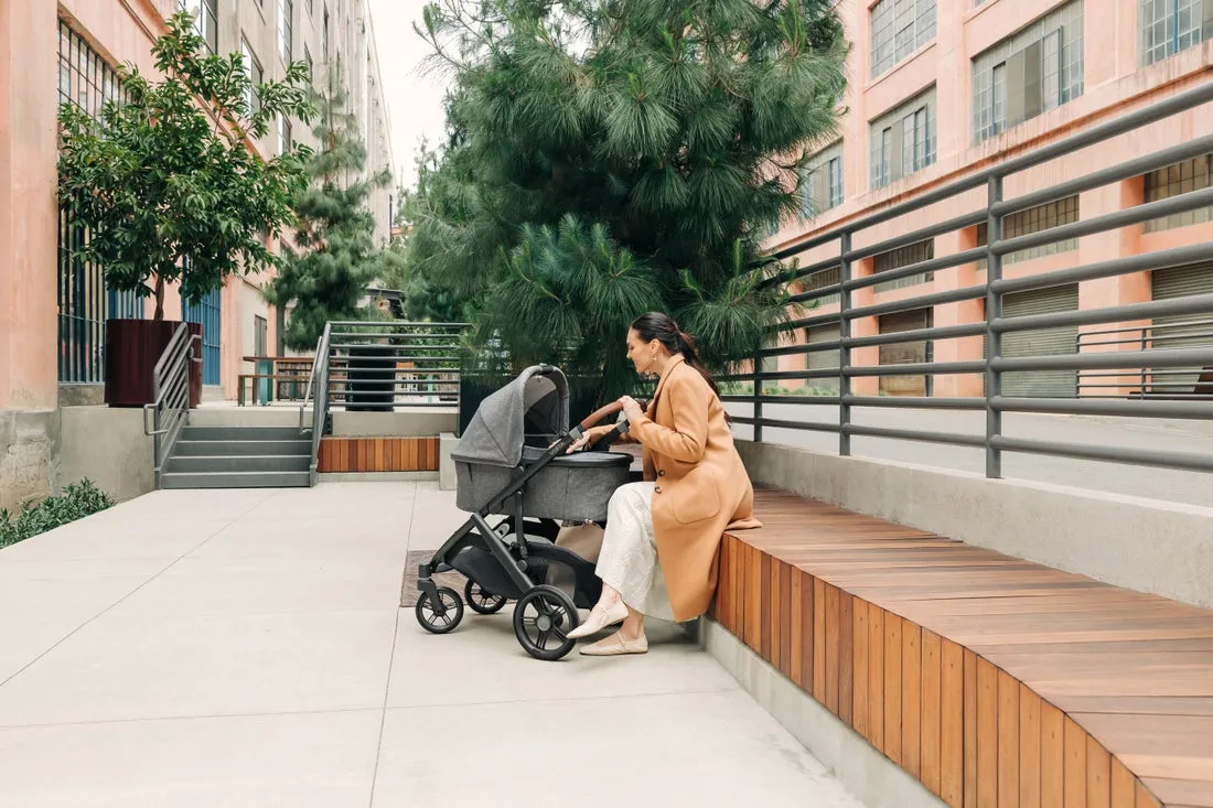 UPPAbaby Vista V3 Stroller