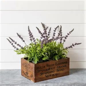 Vintage Style Lavender Crate