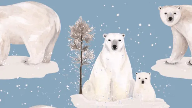 Walkiddy Polar Bear Family Rompersuit (Long Sleeve & Full Length)
