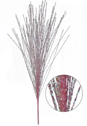 Wild Easter Grass Spray
